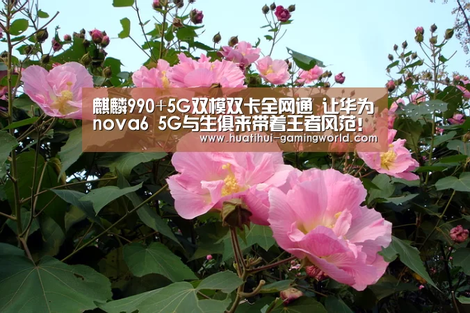 华体会官网