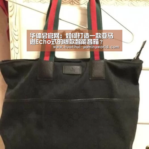 华体会官网：如何打造一款亚马逊Echo式的爆款智能音箱？
