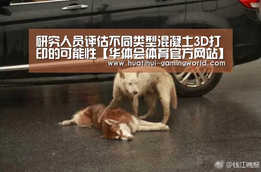 研究人员评估不同类型混凝土3D打印的可能性【华体会体育官方网站】(图1) 华体会体育官方网站