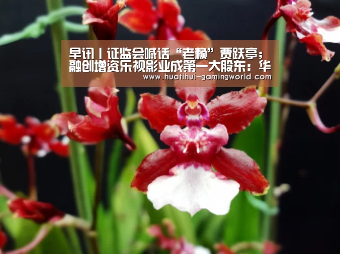 早讯丨证监会喊话“老赖”贾跃亭;融创增资乐视影业成第一大股东:华体会体育官方网站(图1) 华体会体育官方网站