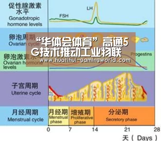 “华体会体育”高通5G技术推动工业物联等行业应用不仅限手机终端(图1) 华体会体育官方网站