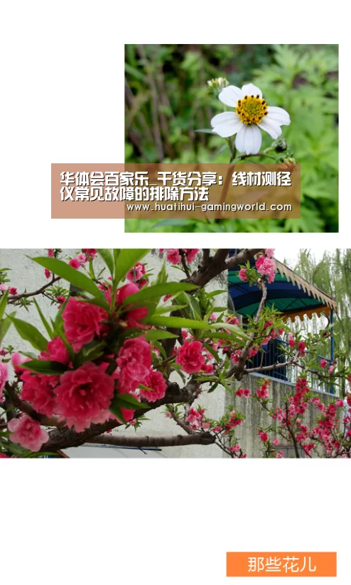 华体会体育官方网站